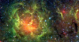 Трифид манан