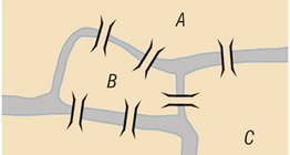 Кенигсбергийн долоон гүүр