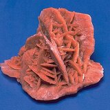 Цөлийн сарнай