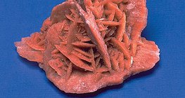 Цөлийн сарнай