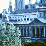 Вена хотын захиргааны барилга