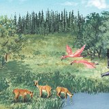 Миоцен дэх амьдрал