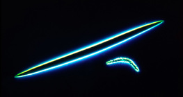 Хөвөнгийн гуурс - микросклер ба мегасклерууд (Spongilla lacustris)