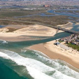 Голын цутгал