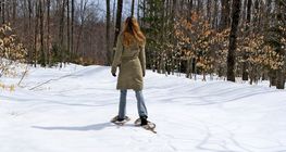 Цасны модон ул