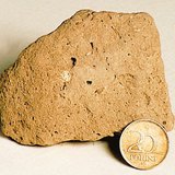 Алтан хэмэрлэг