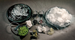 Сүүлт одны бүтэц