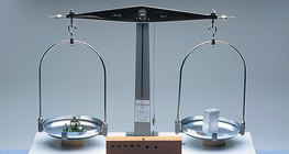 Хоёр тавагтай жилүүр