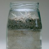 Чийгийн улааныг ажиглах туршилтын хэрэгсэл