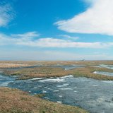 Tavasz a Hortobágyi Nemzeti Parkban