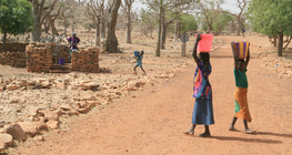 Мали дахь ган гачиг