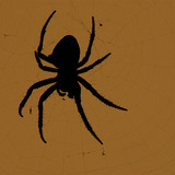 Загалмайт аалз