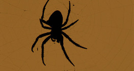 Загалмайт аалз