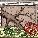 Террариум зохион байгуулах