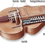 Tekerőlant (nyenyere)