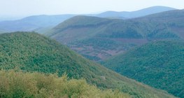 Хагарлын блок уулс