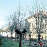 Нохойны жорлон