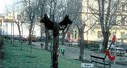 Нохойны жорлон