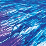 Булчин ба шөрмөсний хоорондох холбоо