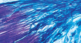 Булчин ба шөрмөсний хоорондох холбоо