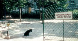 Нохой салхилуулах газар