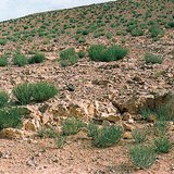 Чулуурхаг цөл