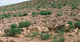 Чулуурхаг цөл