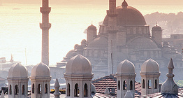 Лалын сүм бүхий Стамбулын үзэмж