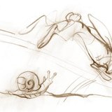 Эмгэн хумс удаан, туулай хурдан хөдөлдөг