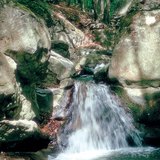 Szakadékos, szűk völgy a Bakonyban