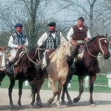 Gauchos, the Argentinian cowboys