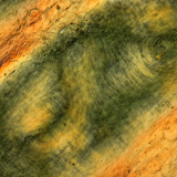 Туйлширсан гэрлийн дор хүний хурууны арьсны нугалаас