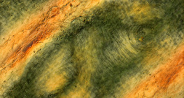 Туйлширсан гэрлийн дор хүний хурууны арьсны нугалаас