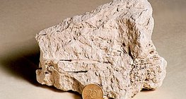 Шохой чулуу