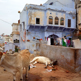 Энэтхэг дэхь гудамж