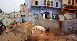 Энэтхэг дэхь гудамж