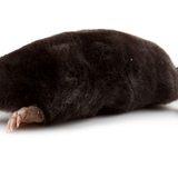 Сохор номин