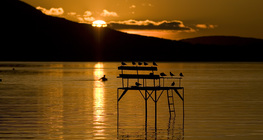 Жаргаж буй нар