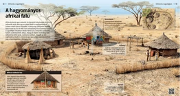 Traditional African Villages