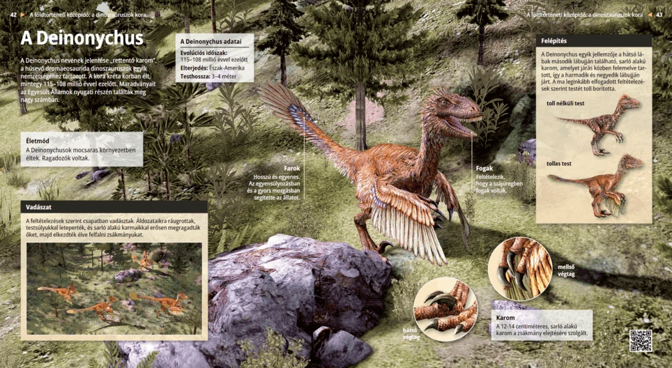 Deinonychus