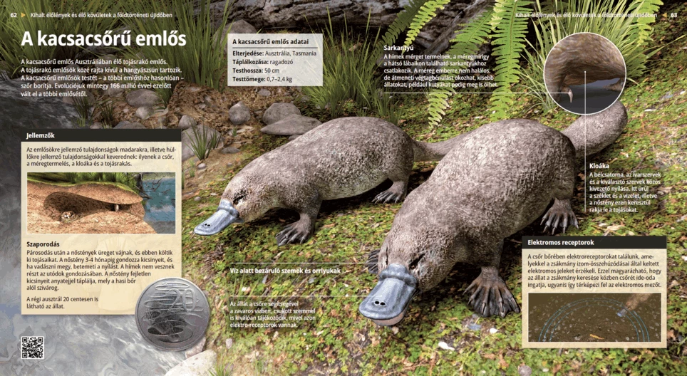 Platypus