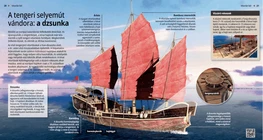 Silk Route on the Ocean: the Chinese Junk