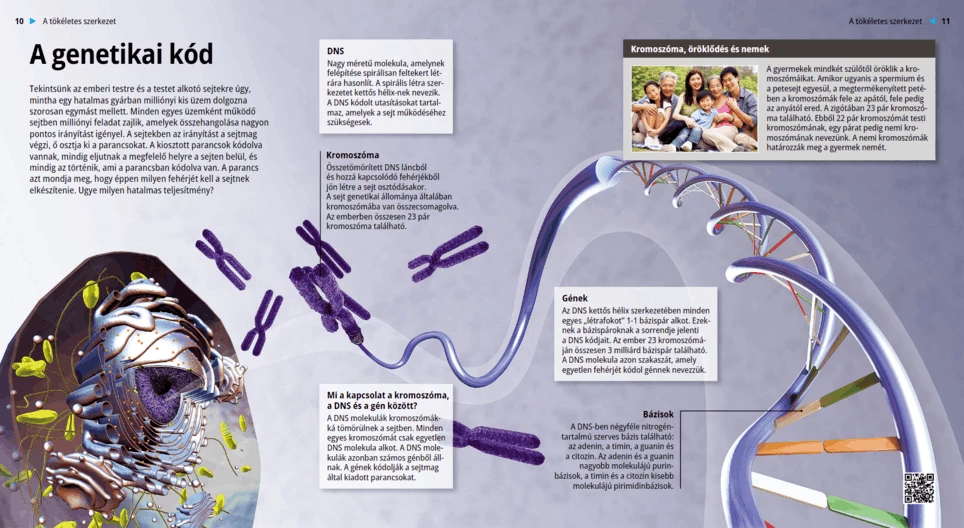 The Genetic Code