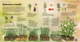 Nature’s Pantry