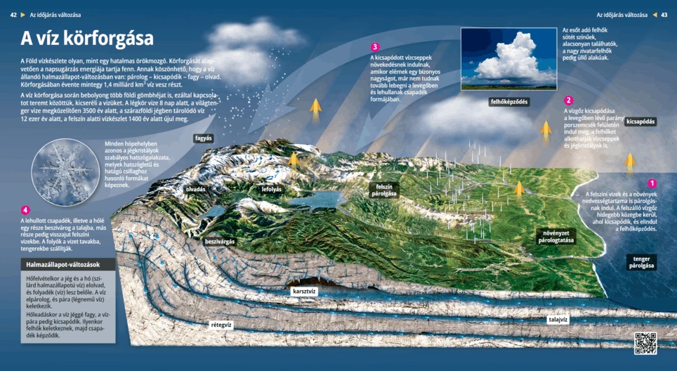 The Water Cycle