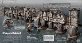Medieval Bridge with Houses
