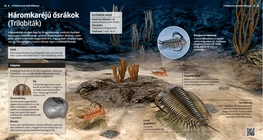 Trilobites