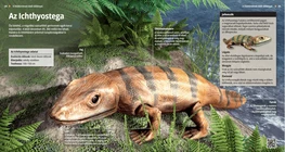 Ichthyostega