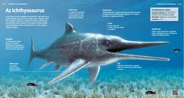 Ichthyosaurus