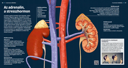 The Adrenal Gland